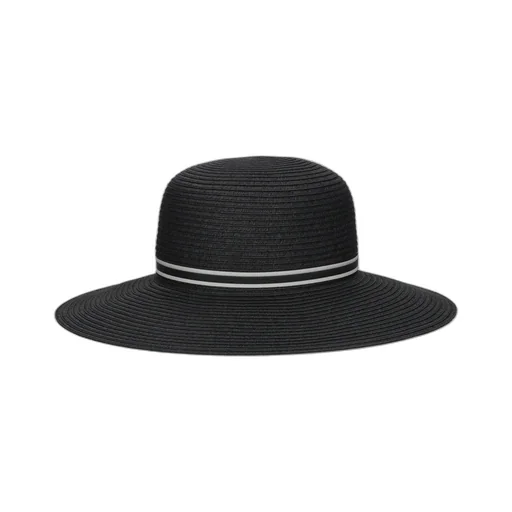 Logo Hat