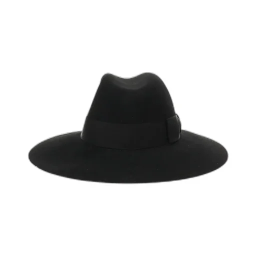 Wide Brim Felt Hat