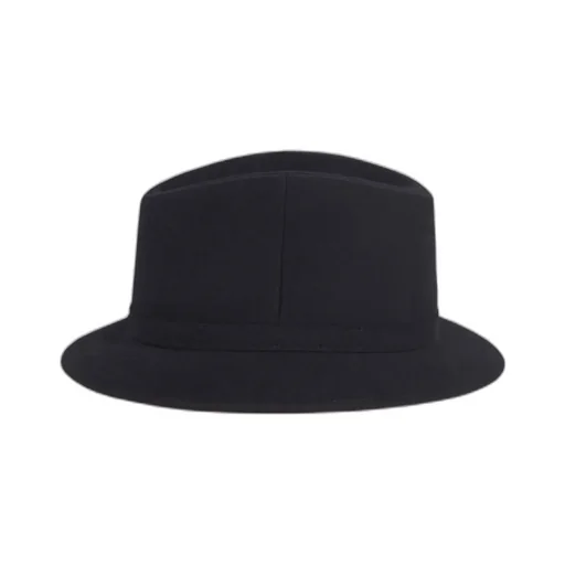 Logo Hat