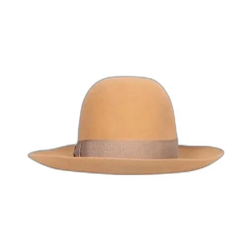 Logo Hat