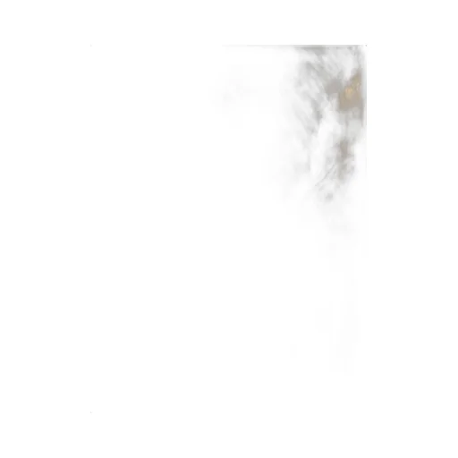 Long-Sleeved Fur Coat