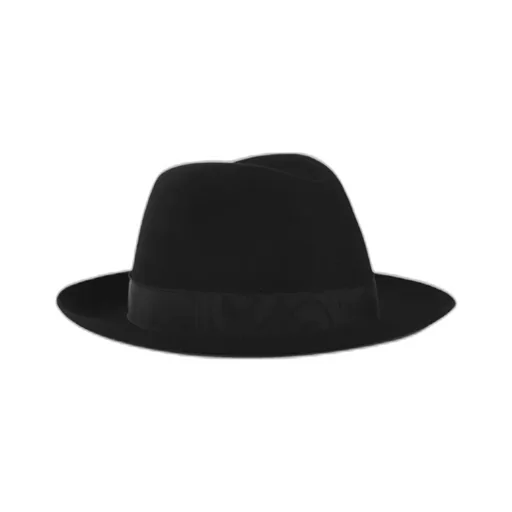 Logo Hat