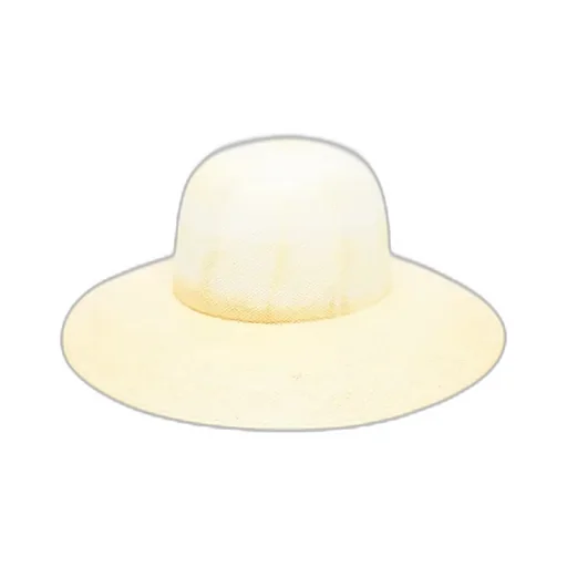 Logo Hat