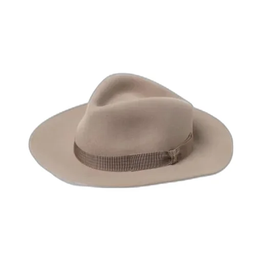 Felted Fedora Hat