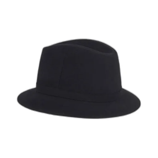 Logo Hat