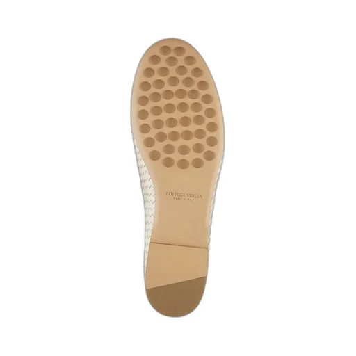 Rosa Ballerina Shoes
