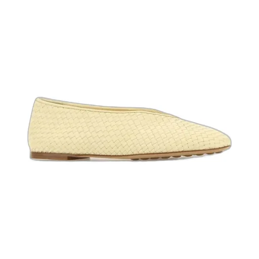 Rosa Ballerina Shoes