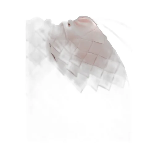 Dustbag Clutch