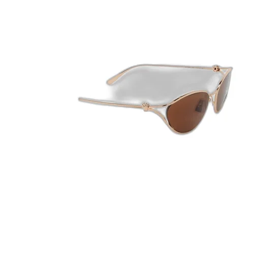 Cat Eye Frame Sunglasses