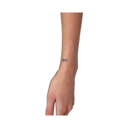 Logo Embroidered Knitted Top