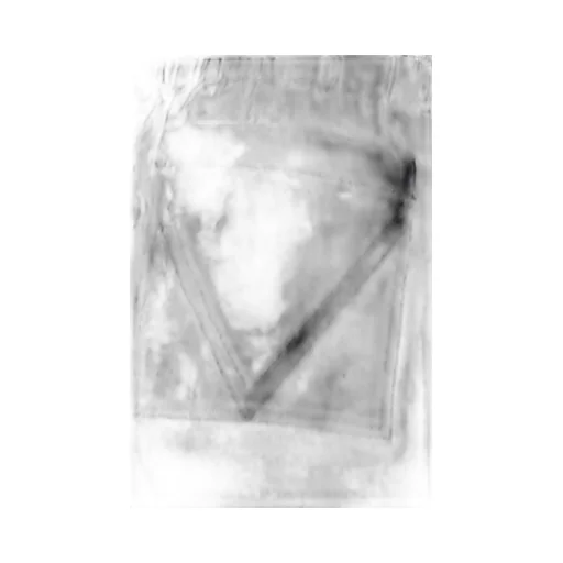 Double Layer Effect Swim Shorts