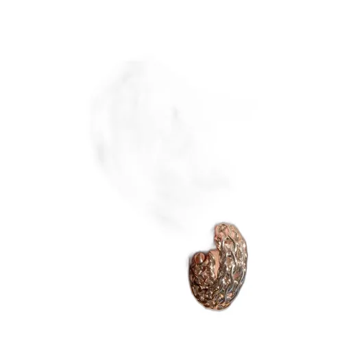 Hollow-Out Design Earrings