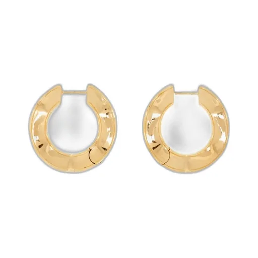 Ring Earrings