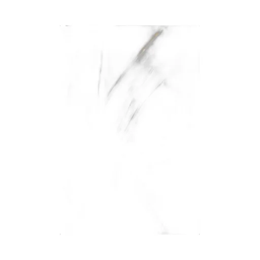 Sleeveless Satin Top