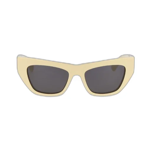 Butterfly Frame Sunglasses