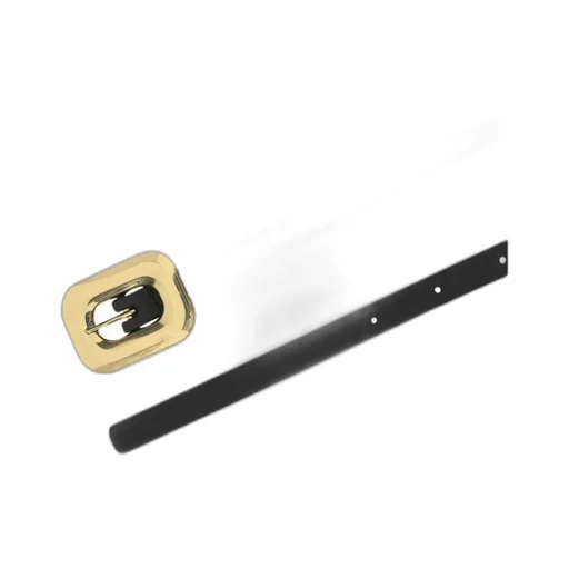 Logo Belt
