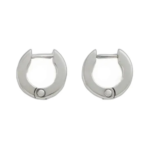 Bolt Ring Earrings