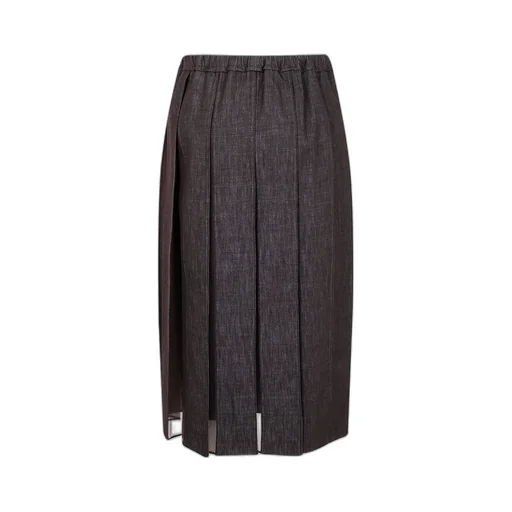 Pleated Panel Skirt