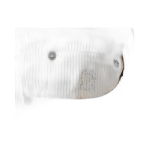 Five-Pocket Corduroy Trousers