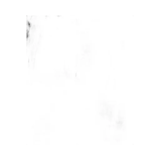 Belt Loop Casual Pants