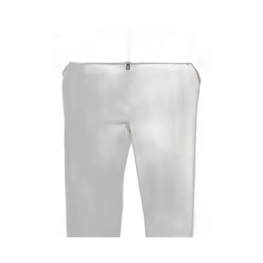 Pleated Slouchy Pants