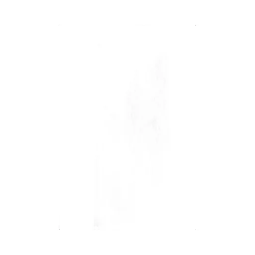 Pleated Flared Skirt