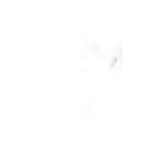 Pleated Flared Skirt