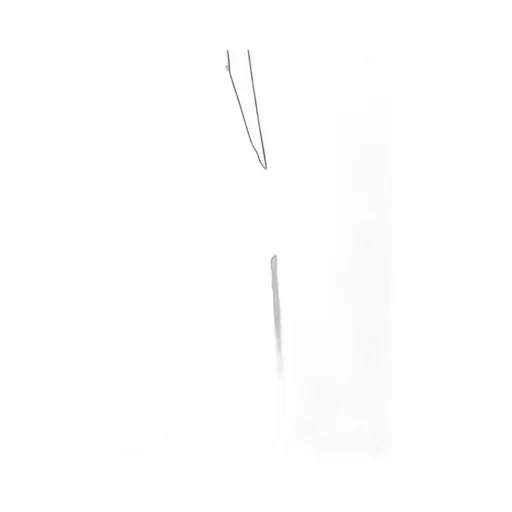 Single-Breasted Belted Coat