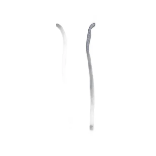 Drawstring Elastic Waist Pants