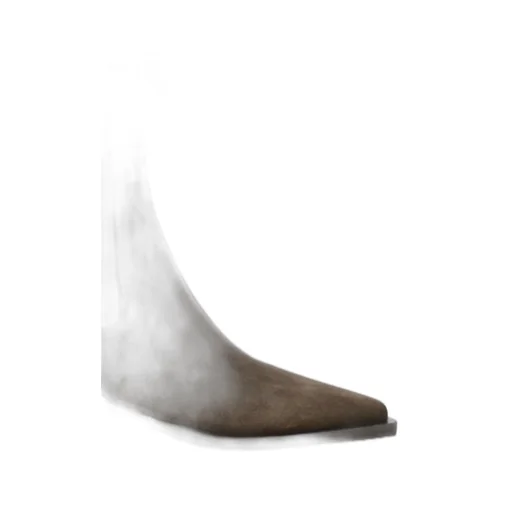 Pointed Toe Ankle Boot