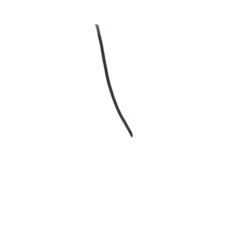 Elastic Waistband Drawstring Joggers