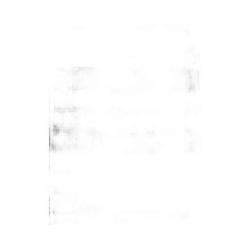 Houndstooth Detailed Pleated Pants