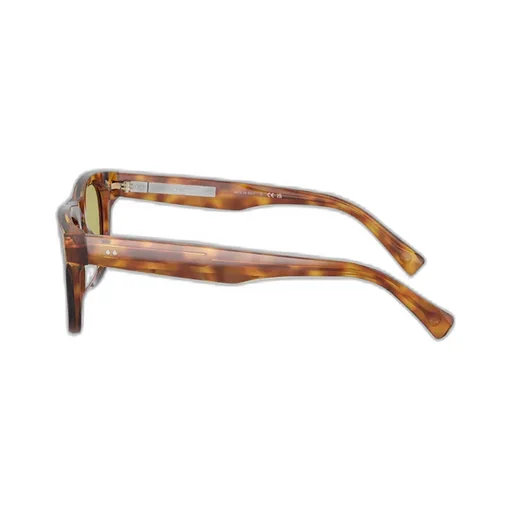 Full Frame Sunglasses