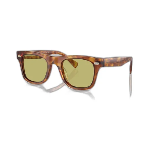 Full Frame Sunglasses