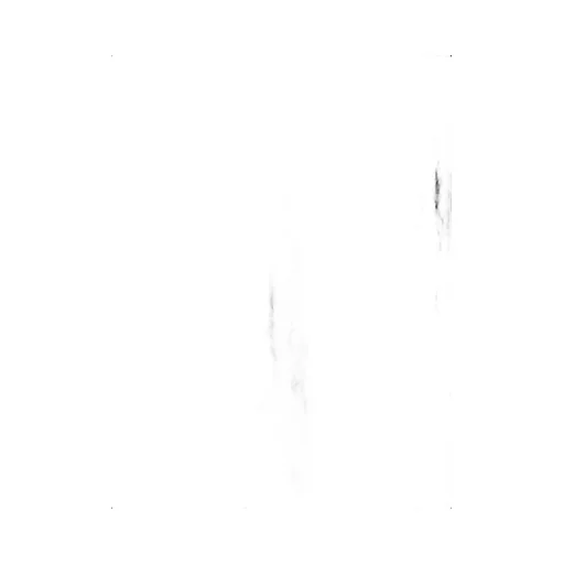 Striped Fringed Scarf