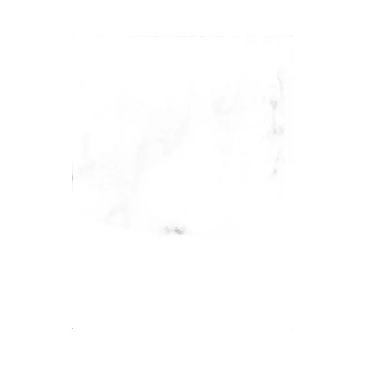 Drawstring Elastic Waist Pants