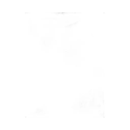 Bead Embellished Collar T-Shirt