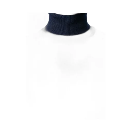 Long-Sleeved Turtleneck Jumper