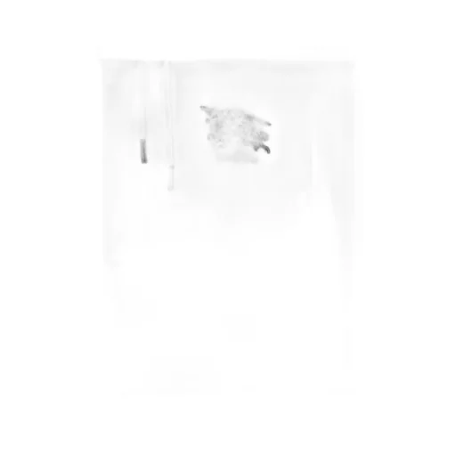 Crystal Ekd Hoodie