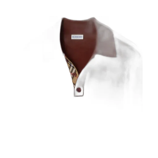 Long-Sleeve Wool Polo Shirt