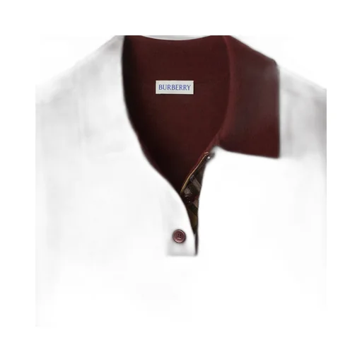 Short Sleeved Knitted Polo Shirt