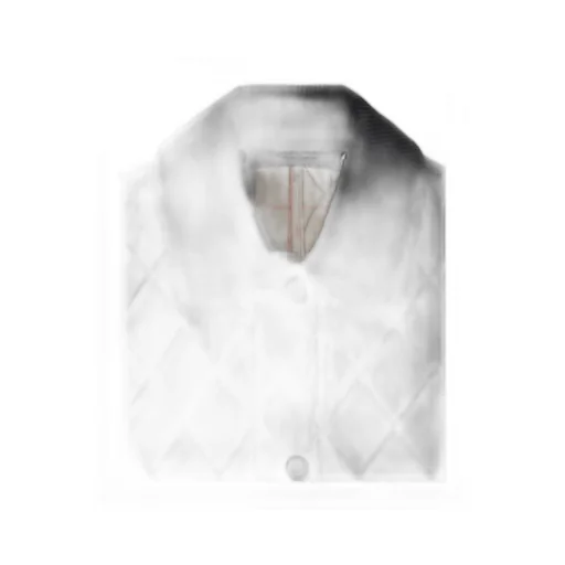 Long Sleeved Quilted Jacket