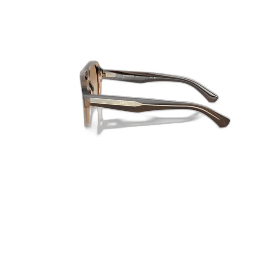 Frame Sunglasses