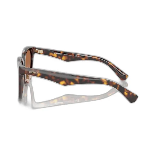 Square Frame Sunglasses