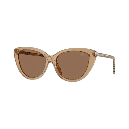 Full Frame Sunglasses