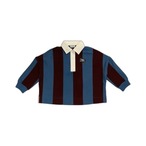 Striped Logo Embroidered Polo Shirt