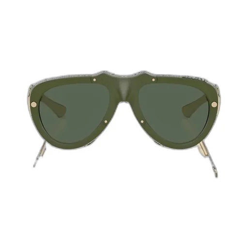 Frame Sunglasses