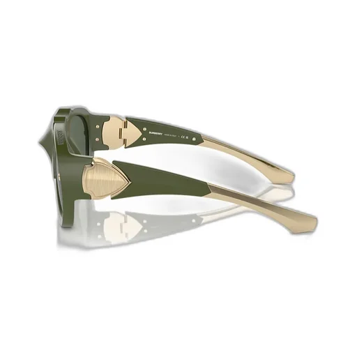 Frame Sunglasses