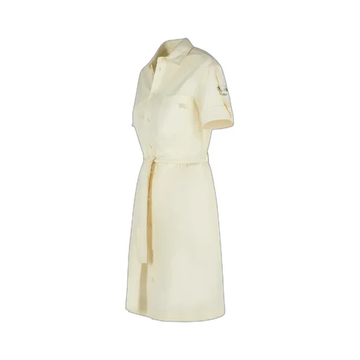 Belted Waist Short Sleeved Shirt Dress