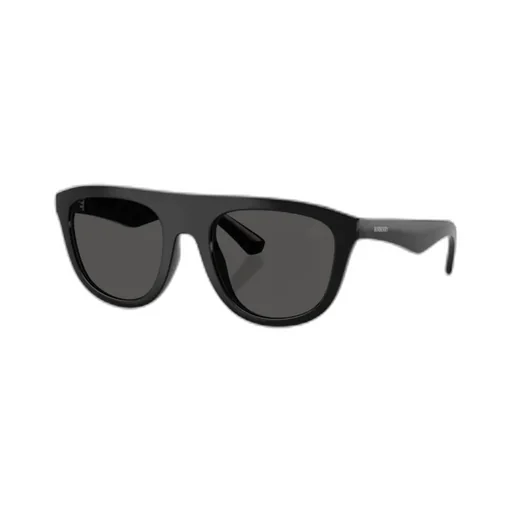Square Frame Sunglasses